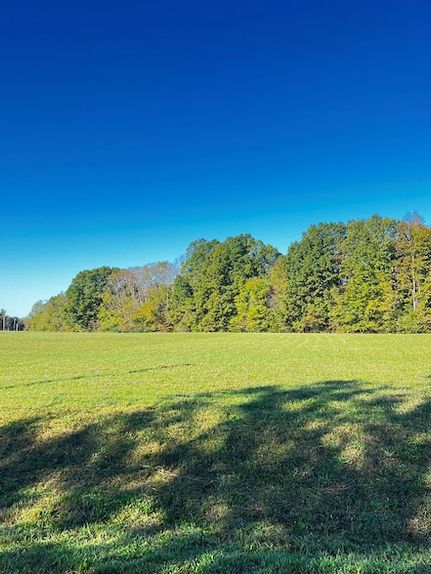 Property for sale in DeKalb County, Tennessee