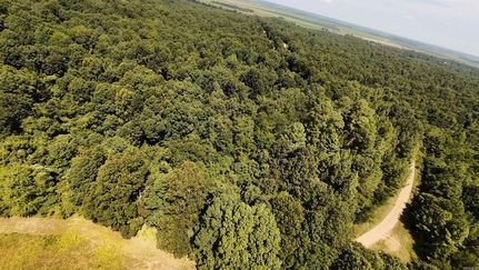 Property for sale in Clay County, Arkansas