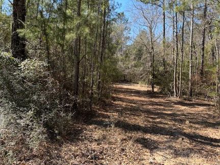Property for sale in Walthall County, Mississippi