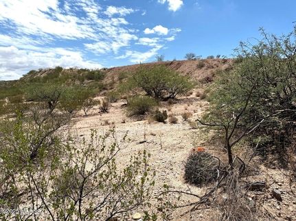 Undeveloped Land for sale in Cochise County, Arizona