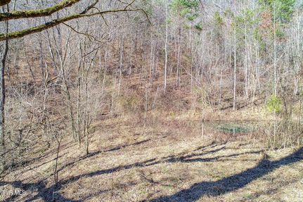 Property for sale in Hancock County, Tennessee