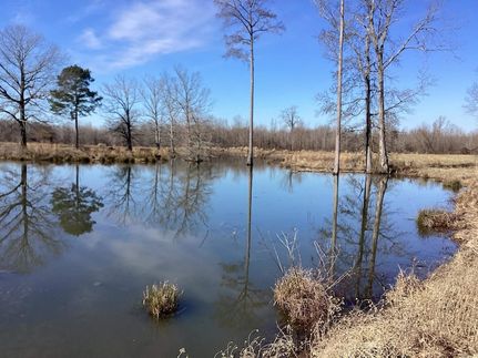 Property for sale in Nevada County, Arkansas