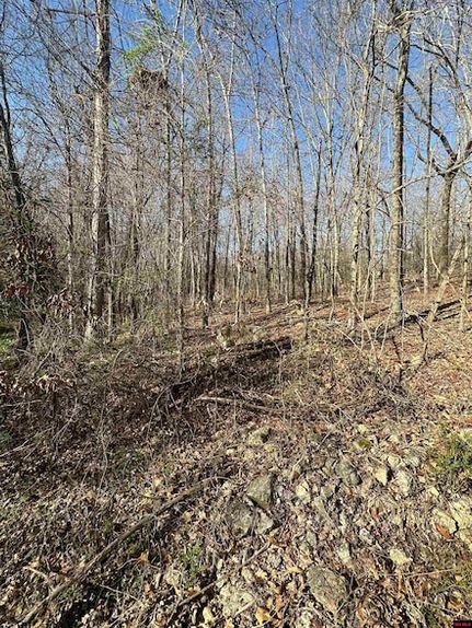 Undeveloped Land for sale in Sharp County, Arkansas