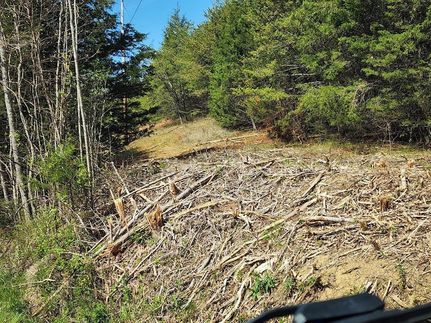 Property for sale in Cocke County, Tennessee