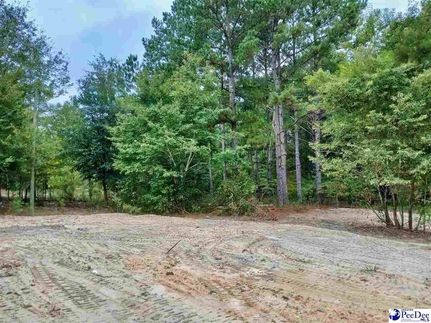 Property for sale in Chesterfield County, South Carolina