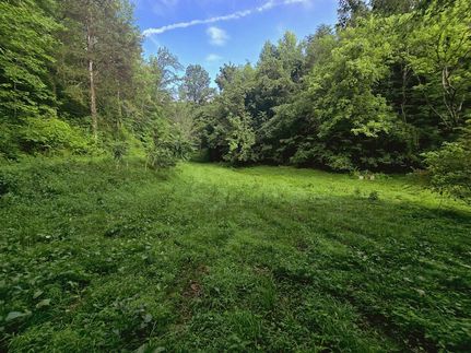 Property for sale in Cocke County, Tennessee