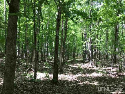Property for sale in Marquette County, Michigan