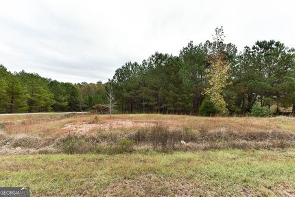 Undeveloped Land for sale in Lee County, Alabama