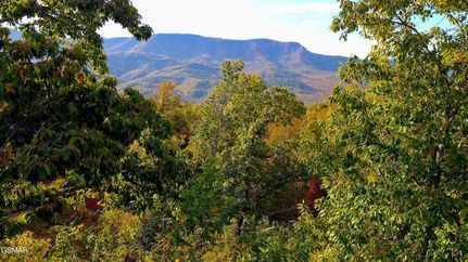 Property for sale in Sevier County, Tennessee