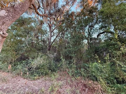 Property for sale in Levy County, Florida