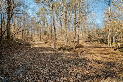 Undeveloped Land for sale in Johnston County, North Carolina