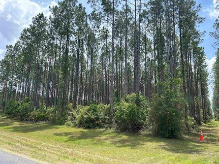 Property for sale in Leon County, Florida