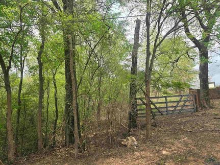 Undeveloped Land for sale in Cass County, Texas