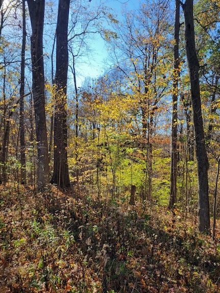 Property for sale in Putnam County, Indiana