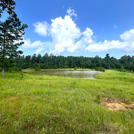 Property for sale in Leon County, Texas