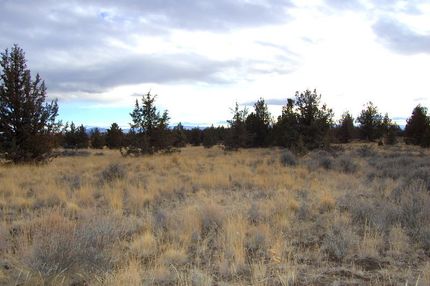 Undeveloped Land for sale in Crook County, Oregon