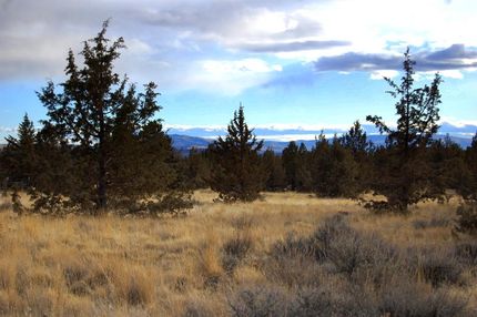 Undeveloped Land for sale in Crook County, Oregon