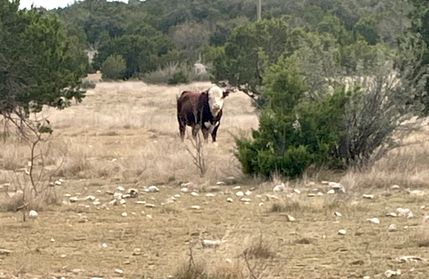 Recreational Property for sale in Kimble County, Texas