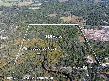 Hunting Land for sale in Hernando County, Florida