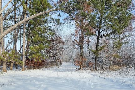 Undeveloped Land for sale in Burnett County, Wisconsin