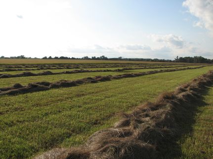 Horse Property for sale in Lincoln County, Nebraska