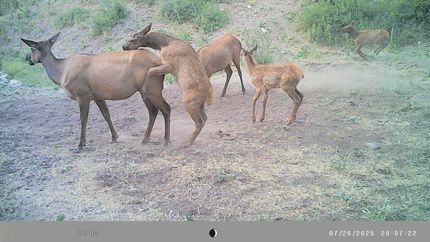 Property for sale in Garfield County, Colorado