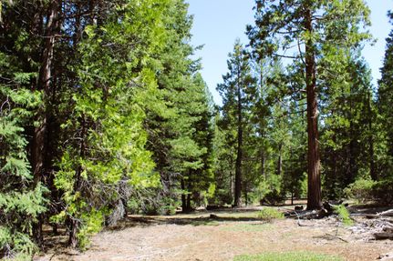 Hunting Land for sale in Modoc County, California
