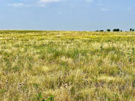 Recreational Property for sale in Kit Carson County, Colorado