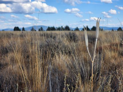 Residential Property for sale in Klamath County, Oregon