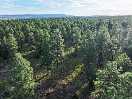 Residential Property for sale in Cibola County, New Mexico