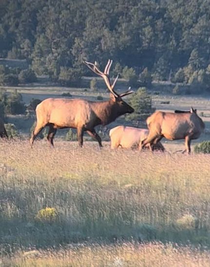 Property for sale in Cibola County, New Mexico