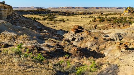 Property in McKinley County, New Mexico