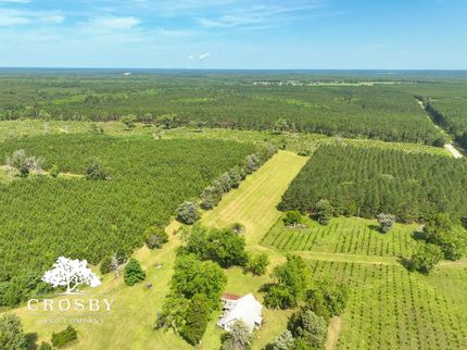 Property for sale in Allendale County, South Carolina
