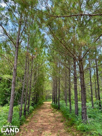 Timberland Property for sale in Dodge County, Georgia