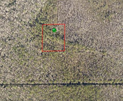 Undeveloped Land for sale in Volusia County, Florida