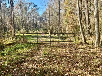 Recreational Property for sale in Columbus County, North Carolina