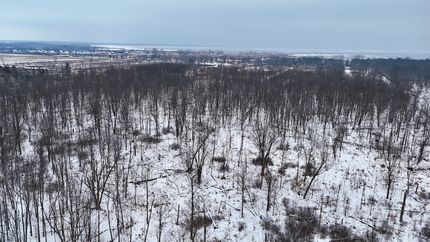 Property for sale in Arenac County, Michigan