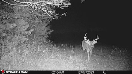 Property in Fauquier County, Virginia