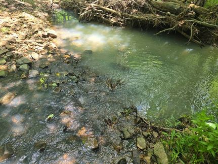 Undeveloped Land for sale in Pushmataha County, Oklahoma