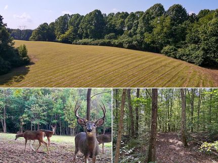 Property for sale in Vinton County, Ohio