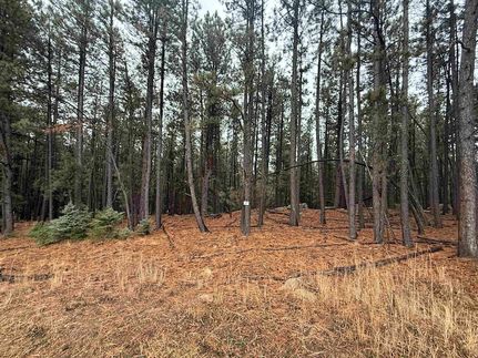 Undeveloped Land for sale in Colfax County, New Mexico