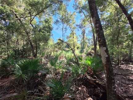 Property for sale in Levy County, Florida