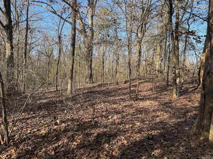 Property for sale in Pike County, Arkansas