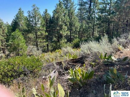Property for sale in Modoc County, California