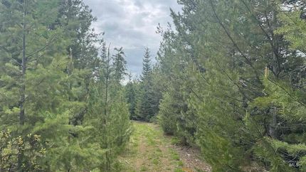 Undeveloped Land for sale in Clearwater County, Idaho