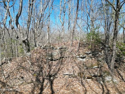 Property for sale in Cumberland County, Tennessee