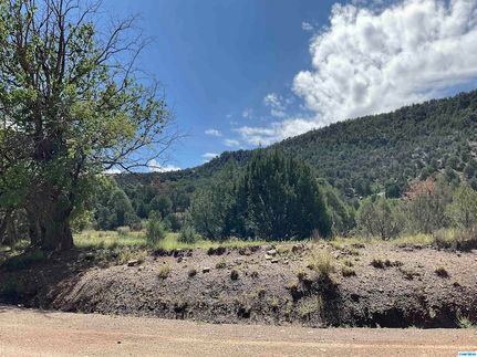 Undeveloped Land for sale in Grant County, New Mexico