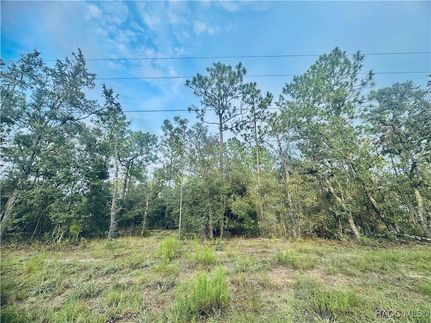 Property for sale in Levy County, Florida