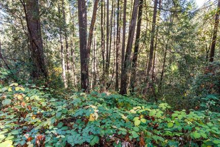 Property for sale in El Dorado County, California