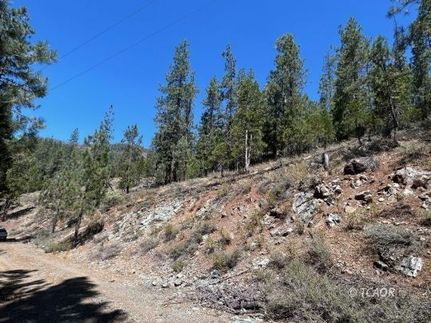 Undeveloped Land for sale in Trinity County, California
